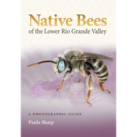 Native Bees of the Lower Rio Grande Valley: A Photographic Guide - Paperback