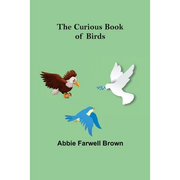 The Curious Book of Birds - Paperback