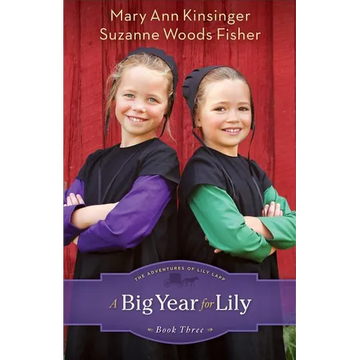 Big Year for Lily - Paperback