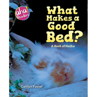 What Makes a Good Bed?: A book of Haiku - Paperback