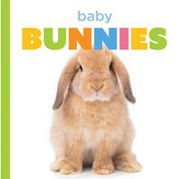 Baby Bunnies - Paperback