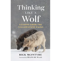 Thinking Like a Wolf: Lessons from the Yellowstone Packs - Paperback