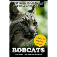 Bobcats: Bob-tailed Cats of North America - Paperback