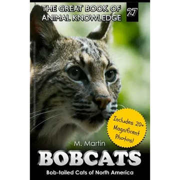 Bobcats: Bob-tailed Cats of North America - Paperback