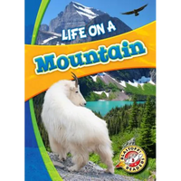 Life on a Mountain - Library Binding