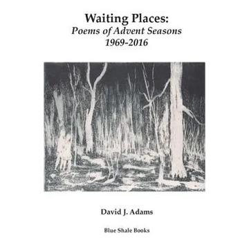 Waiting Places: Poems of Advent Seasons 1969-2016 - Paperback