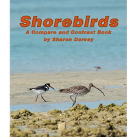 Shorebirds: A Compare and Contrast Book - Paperback