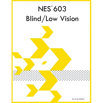 NES 603 Blind/Low Vision - Paperback