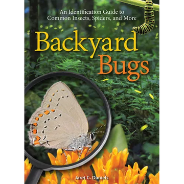 Backyard Bugs: An Identification Guide to Common Insects, Spiders, and More - Paperback