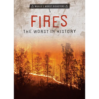 Fires: The Worst in History - Library Binding