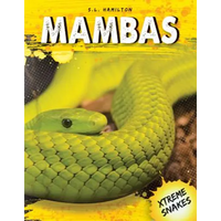 Mambas - Library Binding