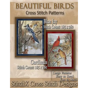 Beautiful Birds Cross Stitch Patterns - Paperback