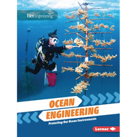 Ocean Engineering: Protecting Our Ocean Environments - Paperback
