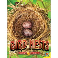 Bird Nests - Paperback