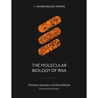 Molecular Biology of RNA - Paperback