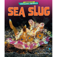Sea Slug - Paperback