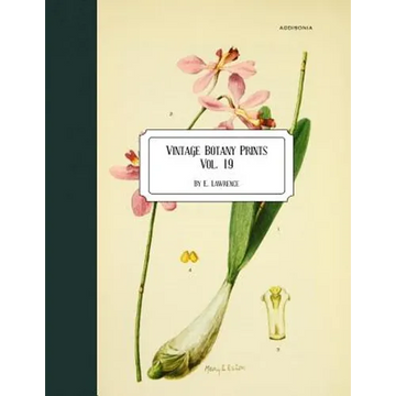 Vintage Botany Prints: Vol. 19 - Paperback
