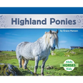 Highland Ponies
