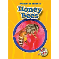 Honey Bees - Paperback