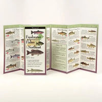 Freshwater Fishes of Northeast