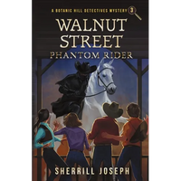 Walnut Street: Phantom Rider - Paperback