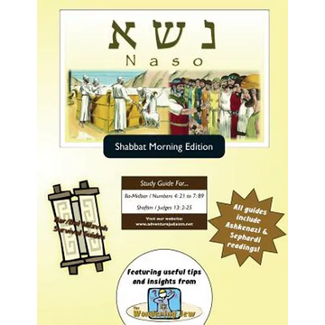 Bar/Bat Mitzvah Survival Guides: Naso (Shabbat am) - Paperback