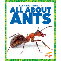 All about Ants - Paperback