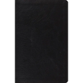 Large Print Thinline Reference Bible-ESV