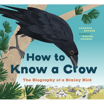 How to Know a Crow: The Biography of a Brainy Bird - Paperback