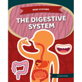 Digestive System