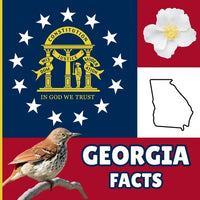 Georgia Facts: Interesting Facts About Georgia - Paperback