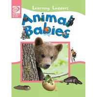 Animal Babies - Hardcover