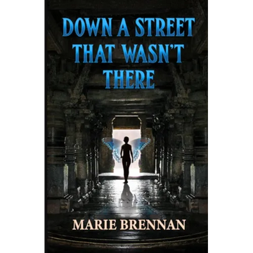 Down a Street That Wasn't There - Paperback