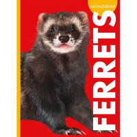 Curious about Ferrets - Library Binding