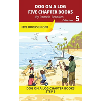 Five Chapter Books 5: Decodable Series for Students Learning to Read. For Beginning Readers and Students with Dyslexia. (Step 5-Magic/Silent e) - Paperback