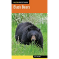 Black Bears