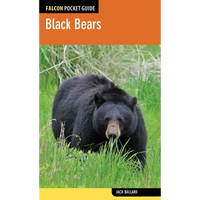 Black Bears - Paperback