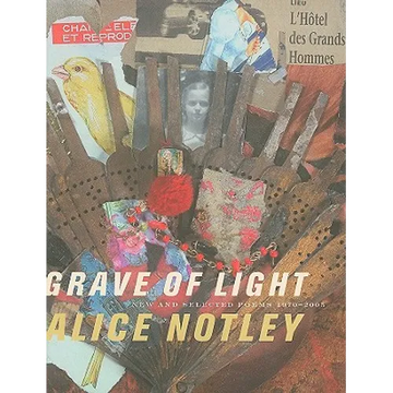 Grave of Light: New and Selected Poems 1970-2005 - Paperback