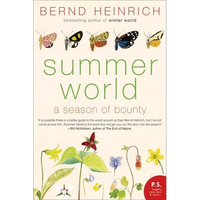 Summer World - Paperback