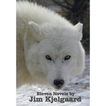 Eleven Novels by Jim Kjelgaard (complete and unabridged) including: The Spell of the White Sturgeon, The Lost Wagon, Trading Jeff and his Dog, Double - Paperback
