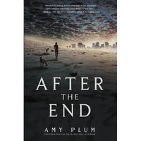 After the End - Paperback