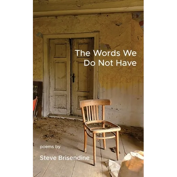The Words We Do Not Have - Paperback