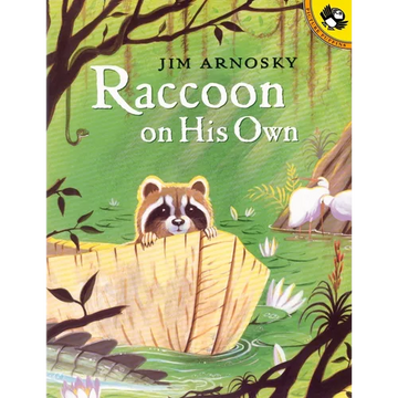 Raccoon on His Own - Paperback