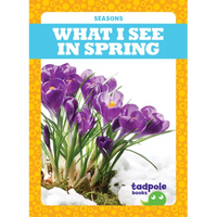 What I See in Spring - Library Binding