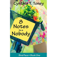8 Notes to a Nobody - Paperback