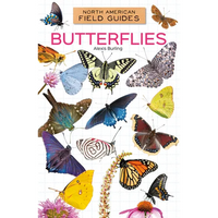 Butterflies - Library Binding