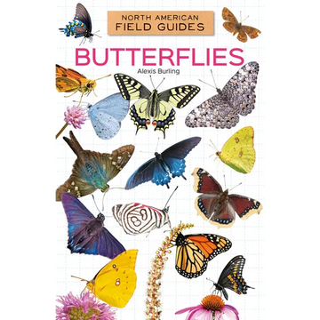 Butterflies - Library Binding