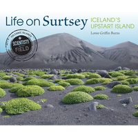 Life on Surtsey: Iceland's Upstart Island - Paperback