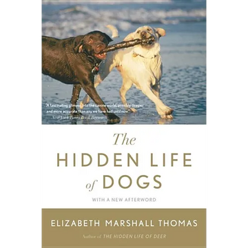 The Hidden Life of Dogs - Paperback