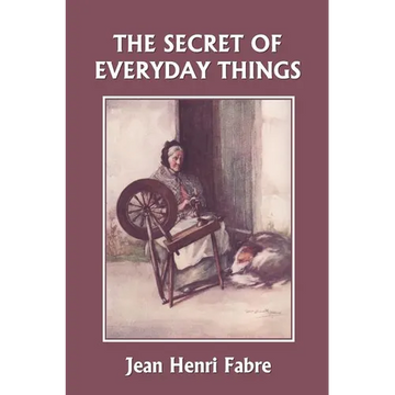 The Secret of Everyday Things (Yesterday's Classics) - Paperback